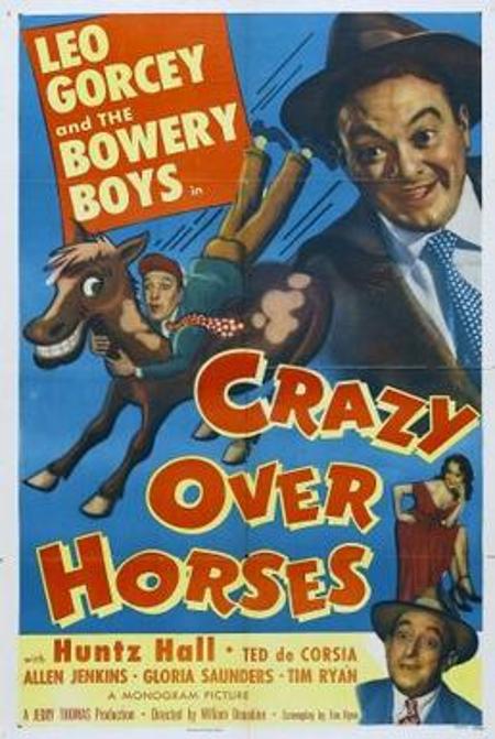 Crazy Over Horses